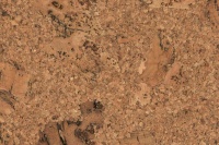 ��������� ������ Corkstyle Wall Design Vico Nat