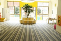 ������� ��������� ��� Hoffmann DECORATION ECO-21008
