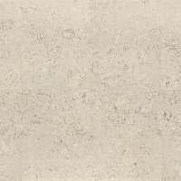 ��������� ��� Wicanders Cork Pure Personality Moonlight AJ4H003