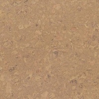 ��������� ��� Wicanders Cork Pure Personality Champagne AJ3K002