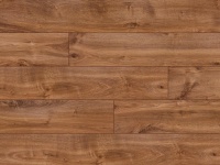 ������� Classen Stuttgart 47903 ��� ������