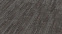������� Kronotex Exquisit Plus D 3663 ��� �������� ����