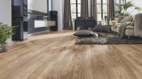 ������� Kronotex Mammut D4795 ��� ������ ���������